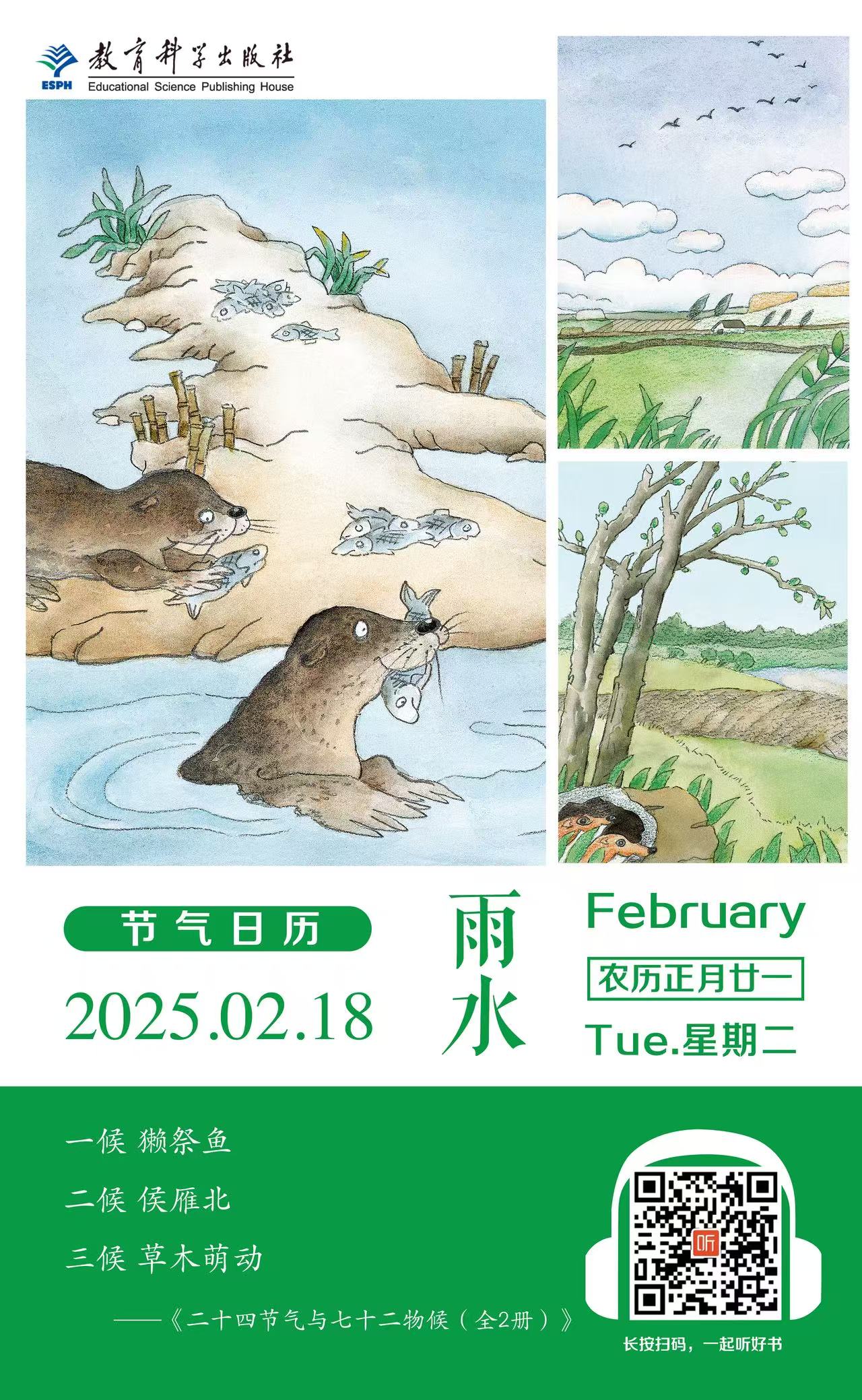 雨水.jpg