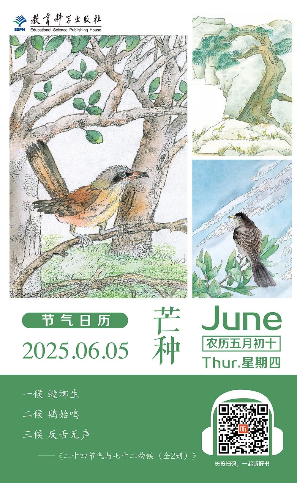 6.05芒种.jpg